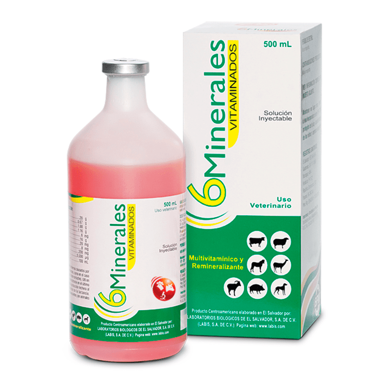 6 Minerales Vitaminados (100 ml)