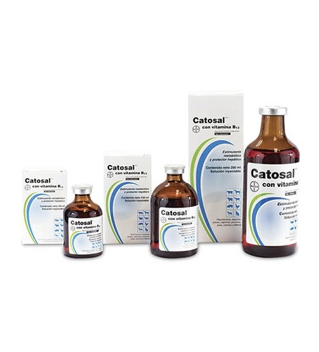 Catosal B-12